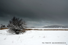 Winterliches Vitte 2021 Feb.