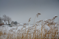 Winterliches Vitte 2021 Feb.