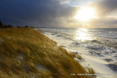 Strand im Winter