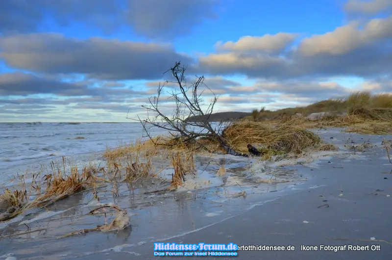 Sturmflut 12.01.2025