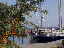 Am Neuendorfer Hafen