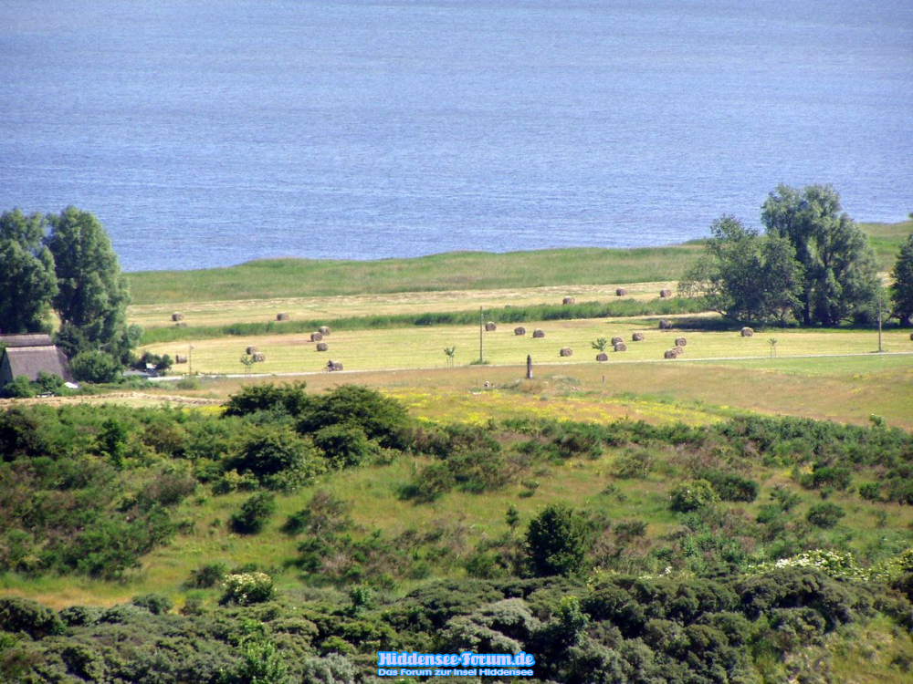 Blick zum Boddengewässer vom LT aus